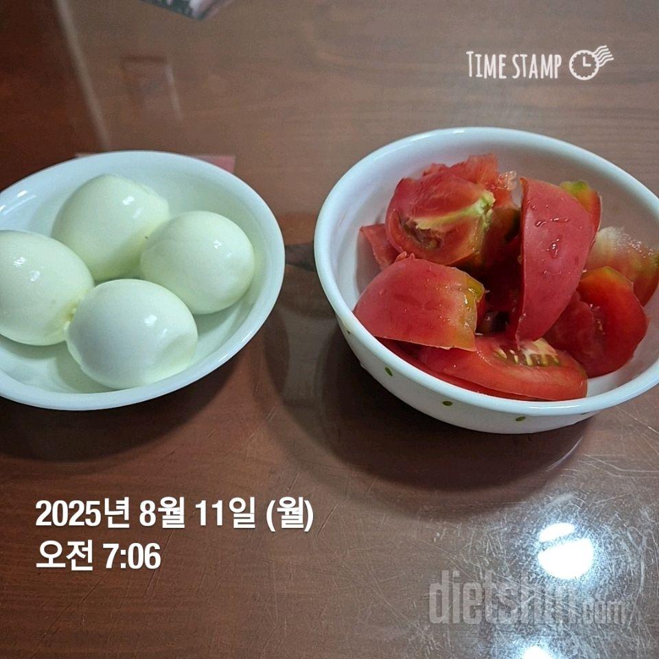 15일 3끼 식단 챌린지241일차 성공!