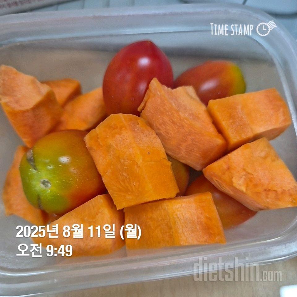 15일 3끼 식단 챌린지241일차 성공!