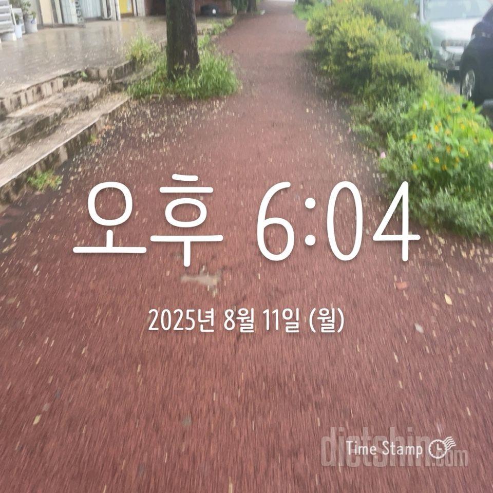 8/11 65kg. 걷기 60분. 술❌