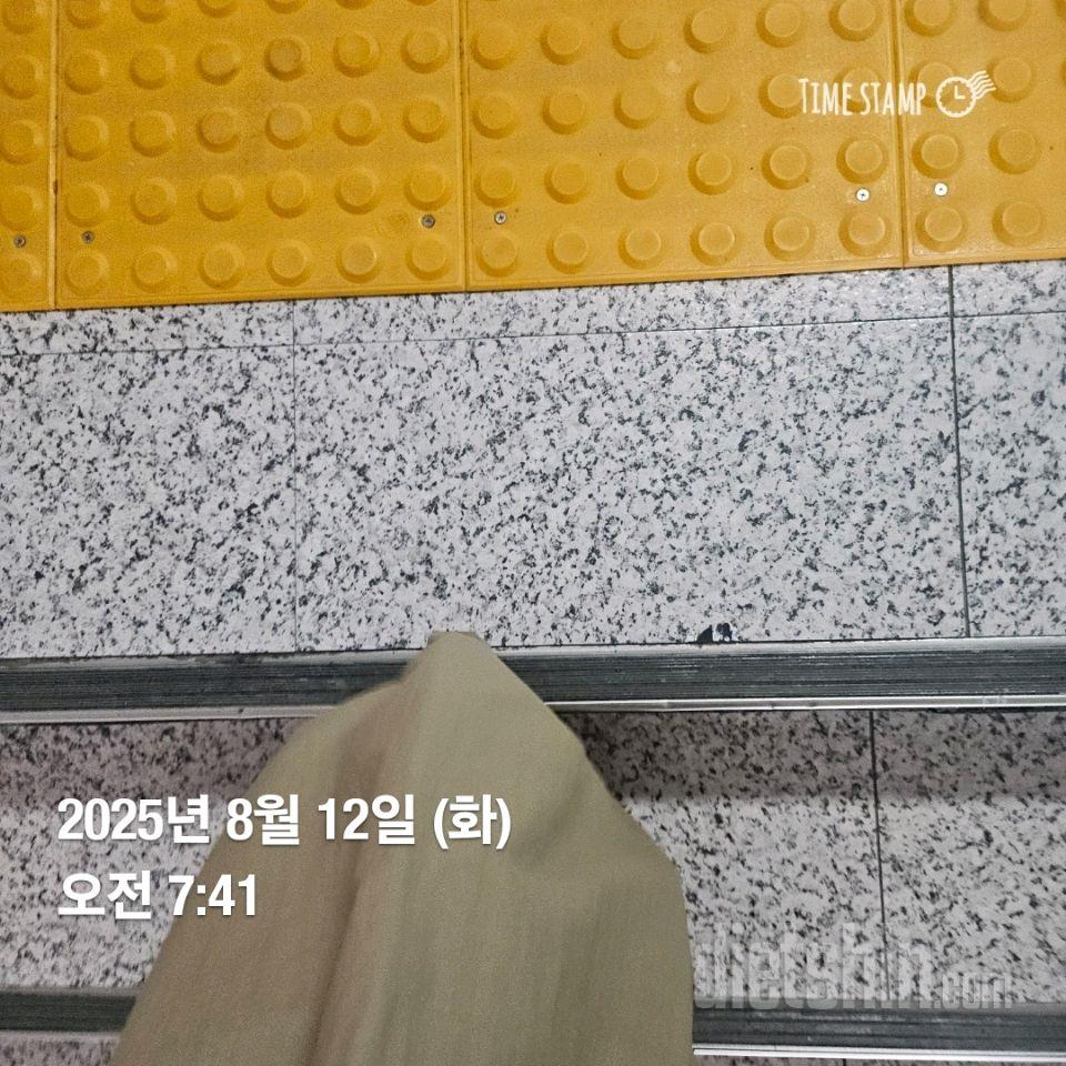 15일 계단 오르기16일차 성공!