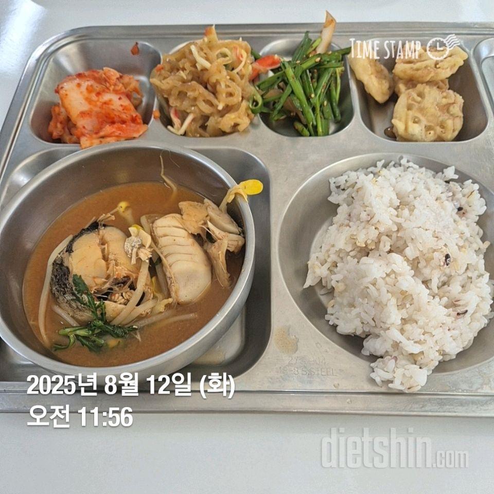 15일 3끼 식단 챌린지242일차 성공!
