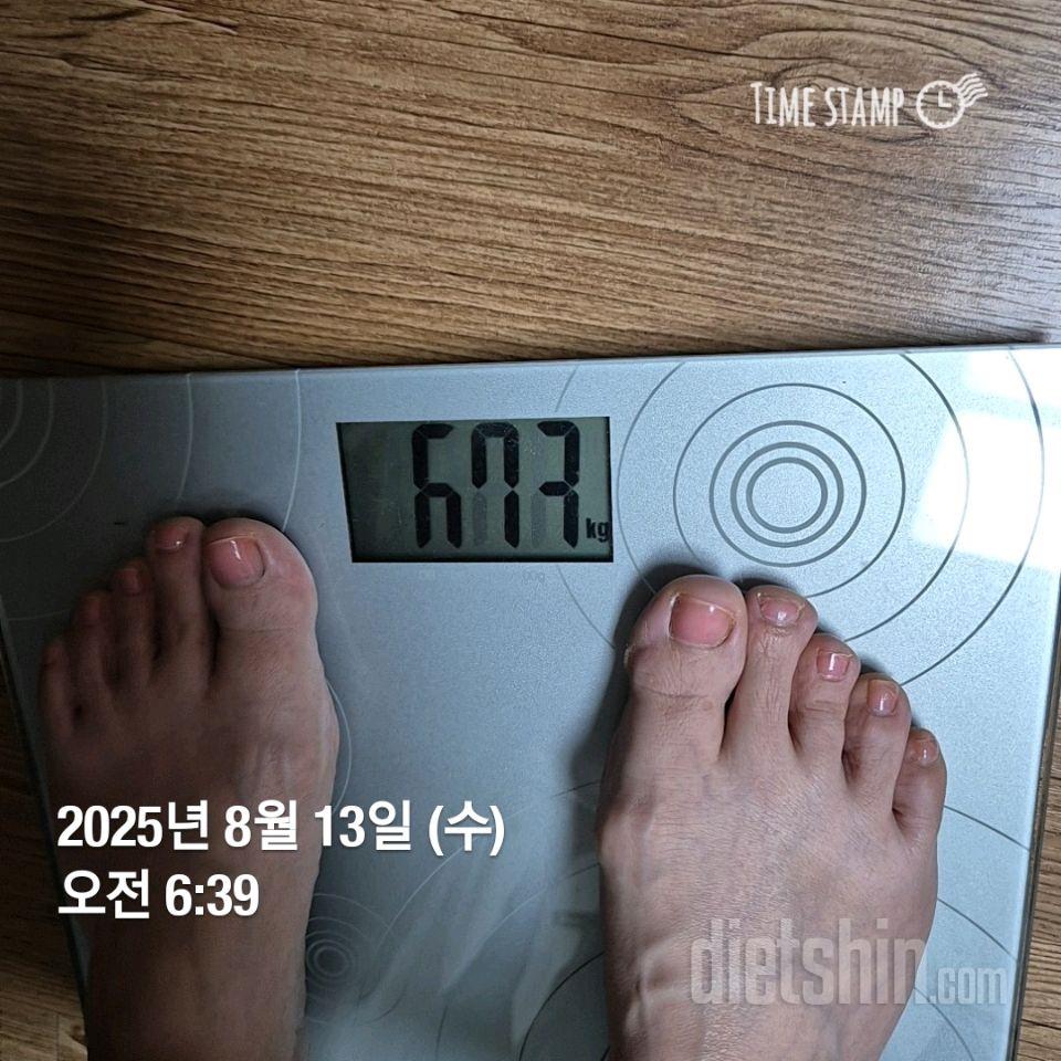 7일 아침 몸무게 재기493일차 성공!
