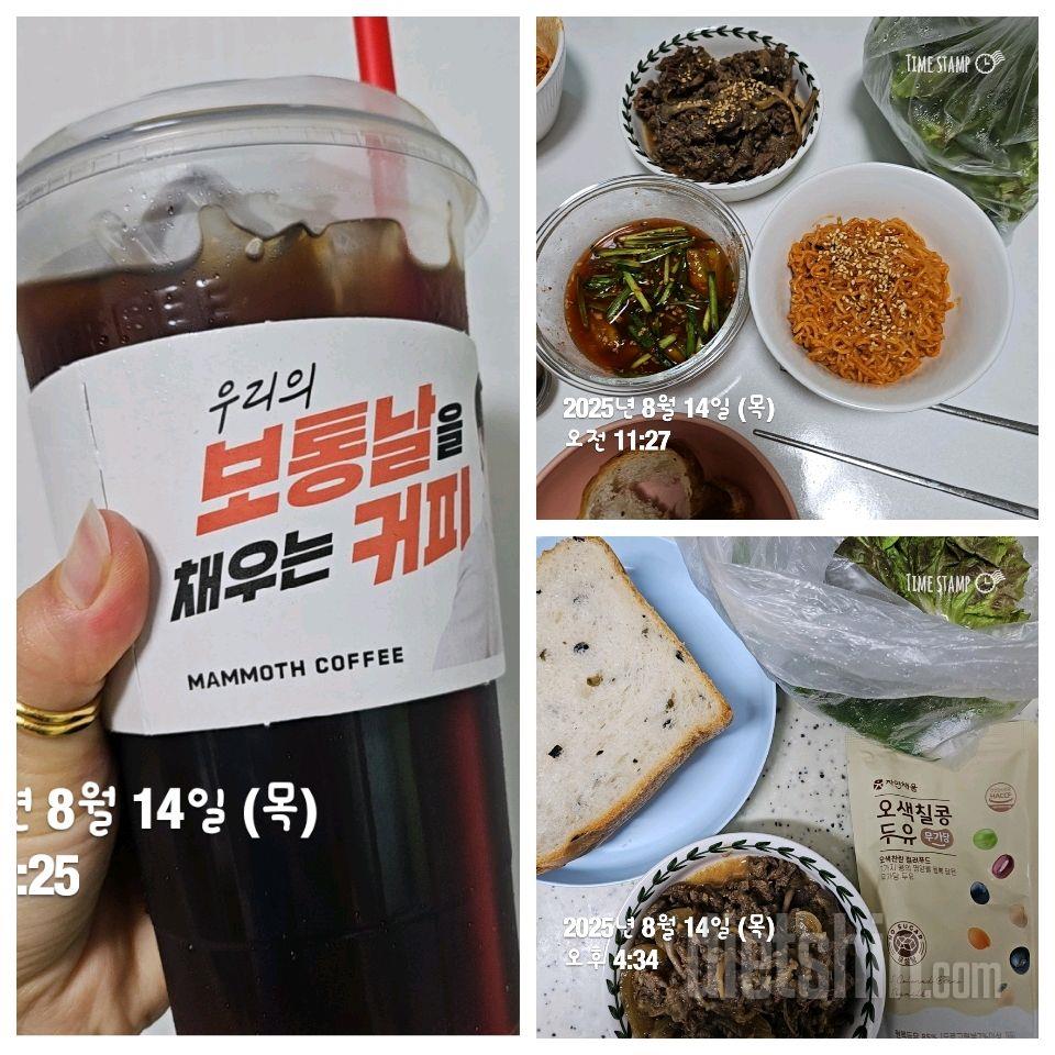 8/14일 식단