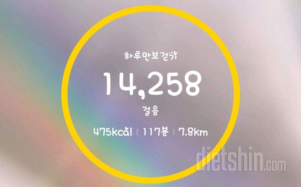 8/14일 식단