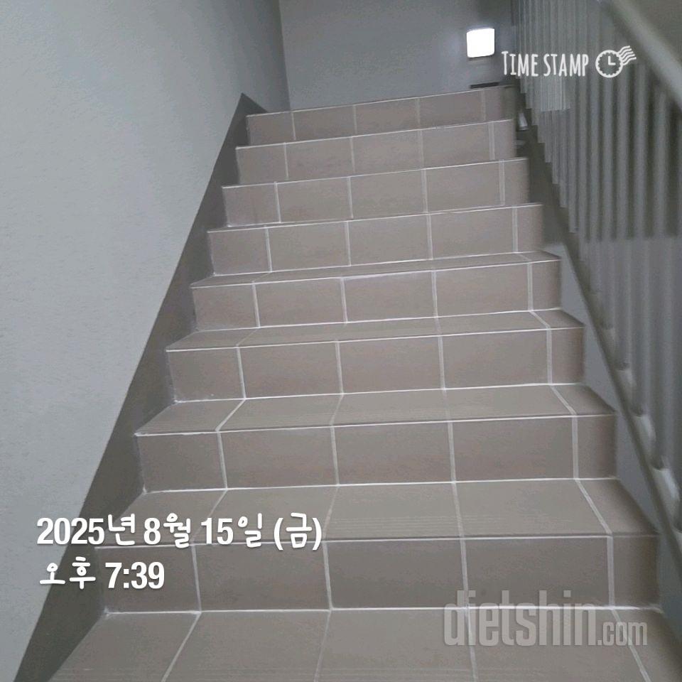 15일 계단 오르기5일차 성공!