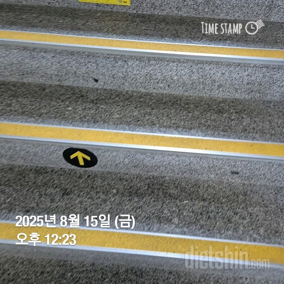 15일 계단 오르기241일차 성공!