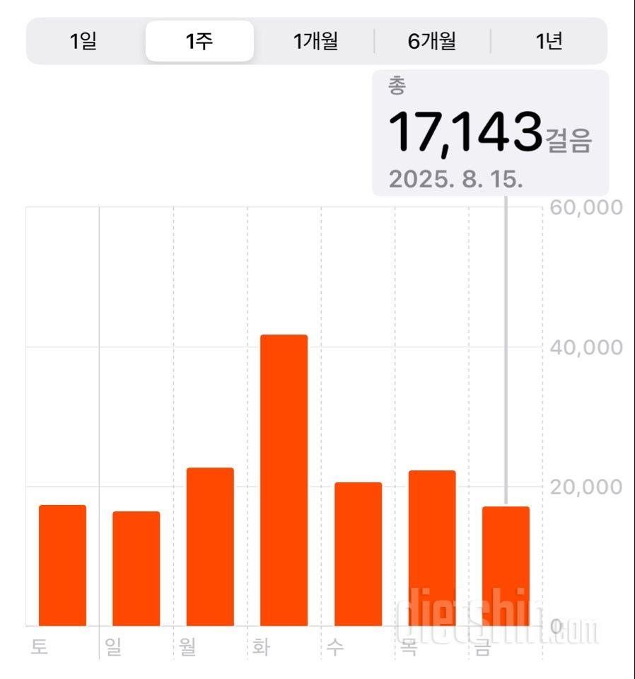30일 만보 걷기2024일차 성공!