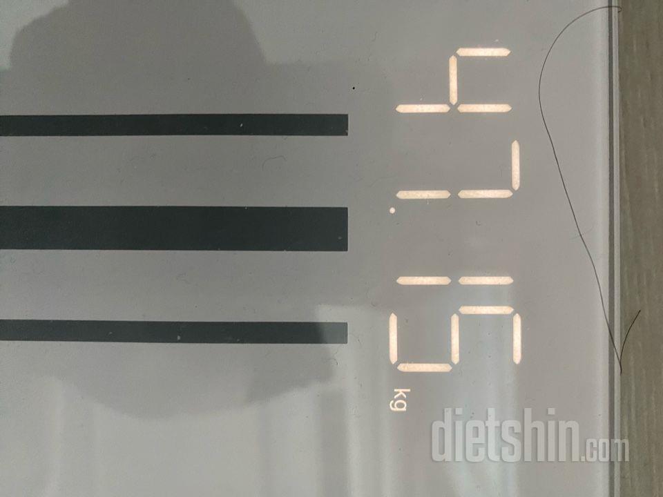 7일 아침 몸무게 재기98일차 성공!