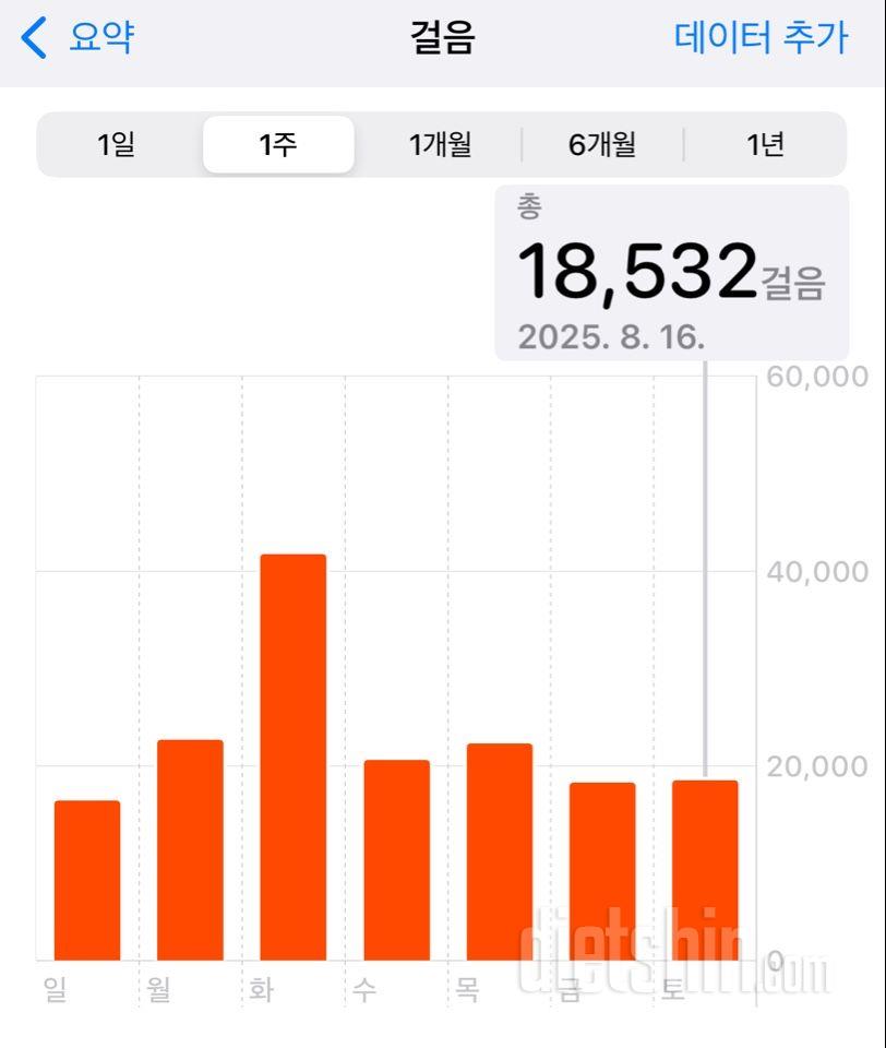 30일 만보 걷기2025일차 성공!