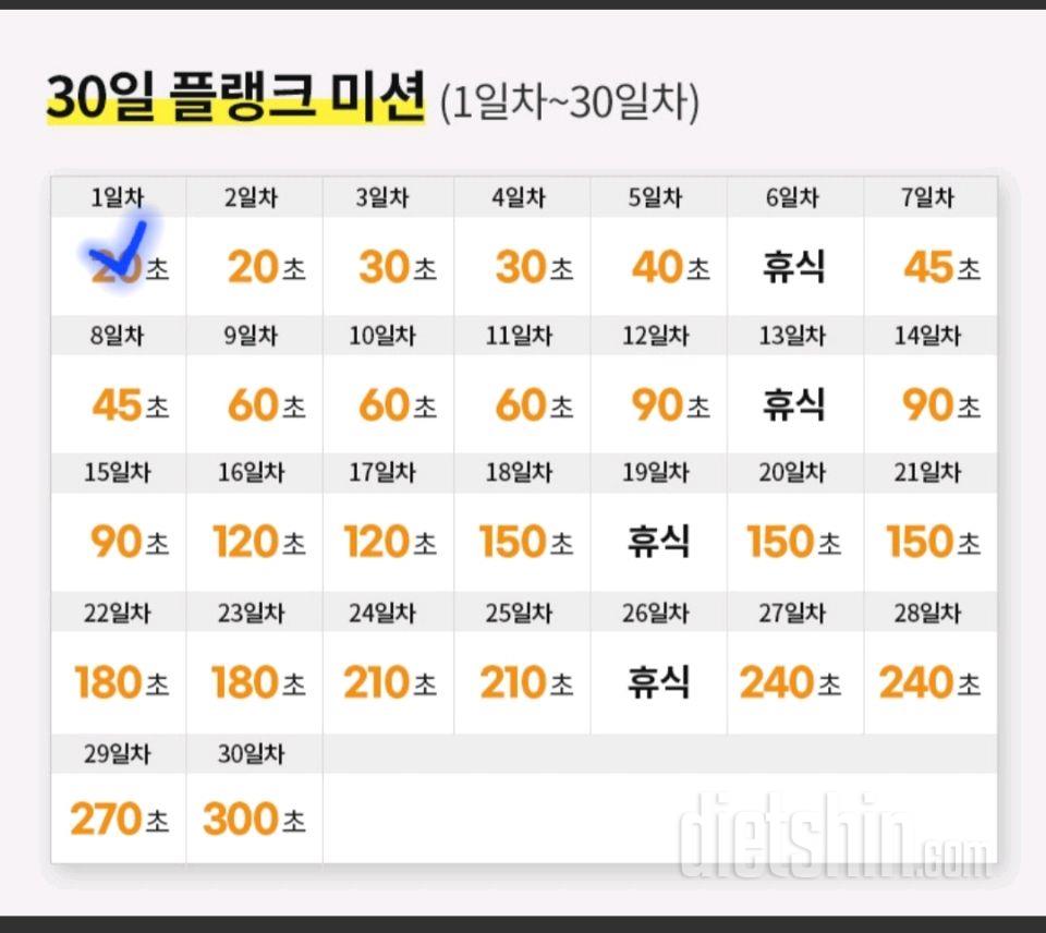 30일 플랭크31일차 성공!
