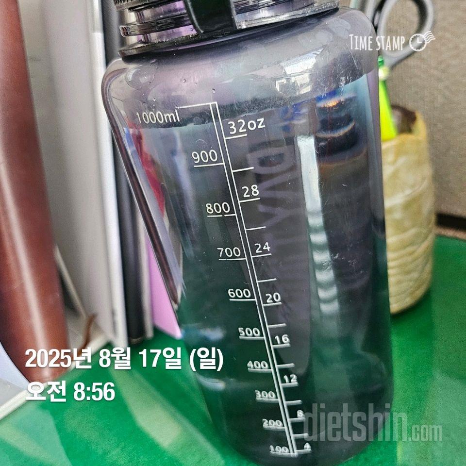 30일 하루 2L 물마시기36일차 성공!
