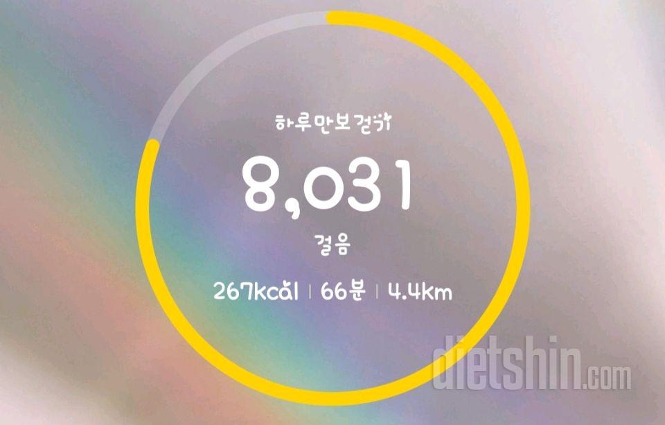 8/17일 식단