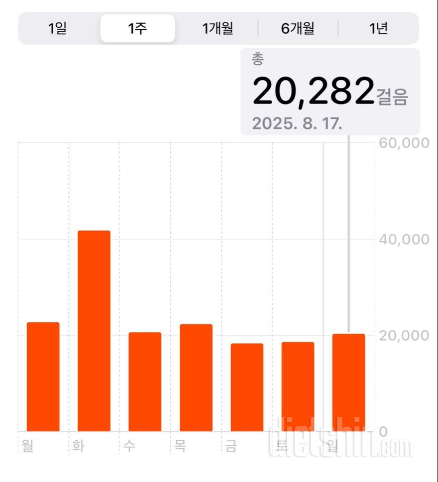 30일 만보 걷기2026일차 성공!