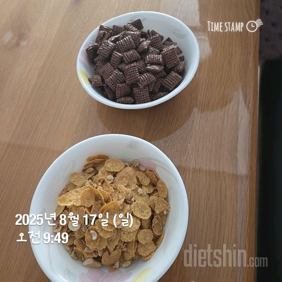 15일 3끼 식단 챌린지8일차 성공!