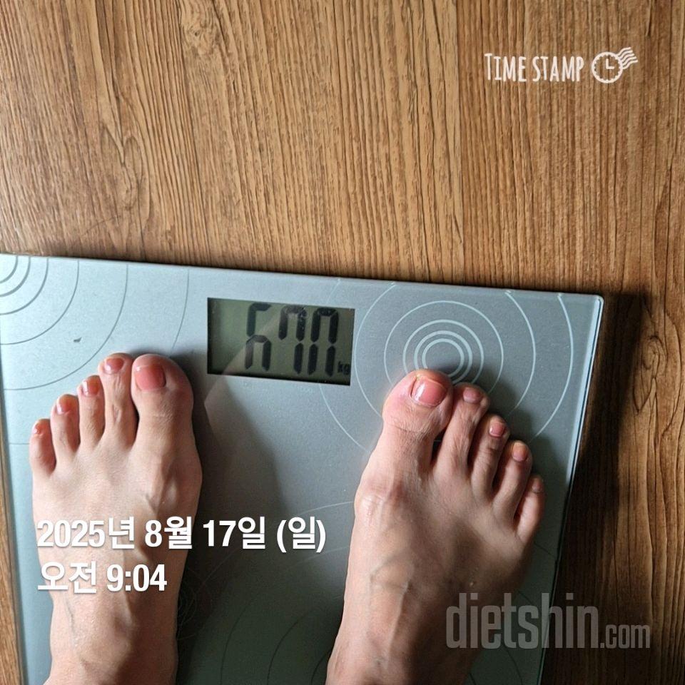 7일 아침 몸무게 재기493일차 성공!