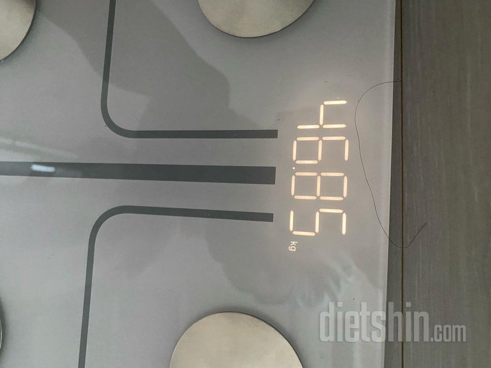 7일 아침 몸무게 재기99일차 성공!