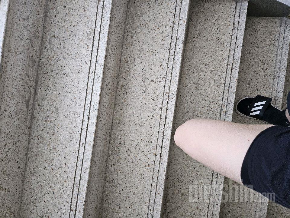 15일 계단 오르기20일차 성공!