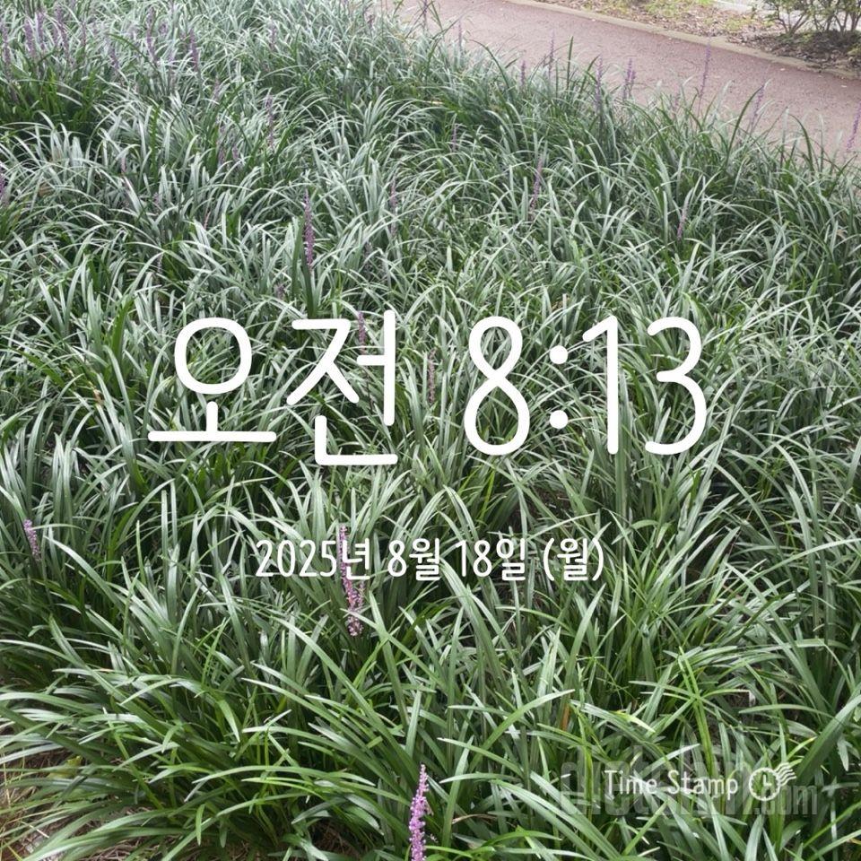 8/18 65.7kg 걷뛰 55분 술❌