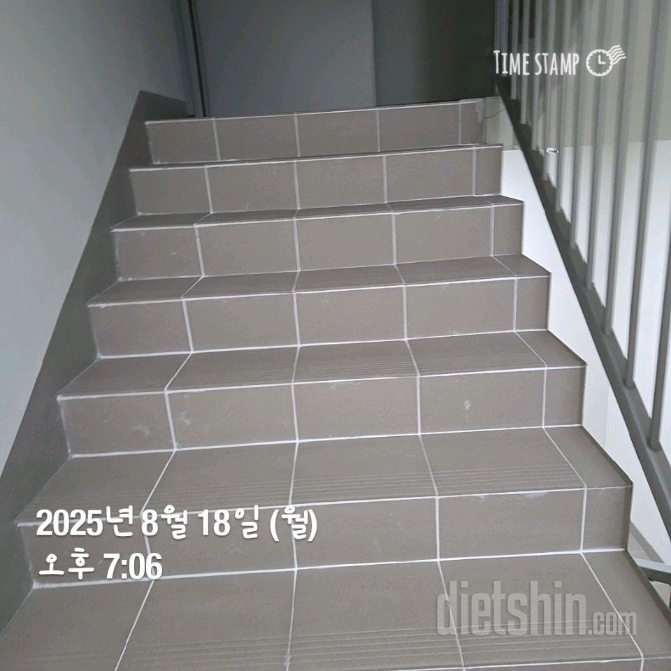 15일 계단 오르기8일차 성공!