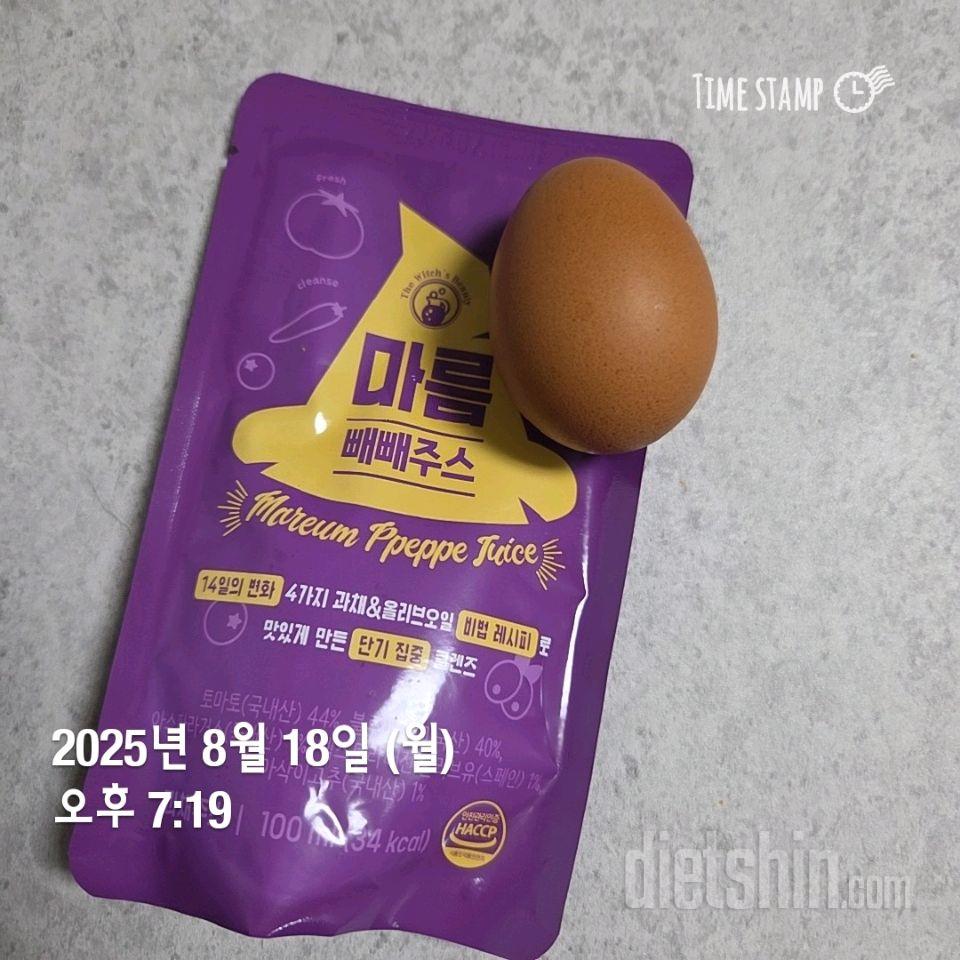 362일차