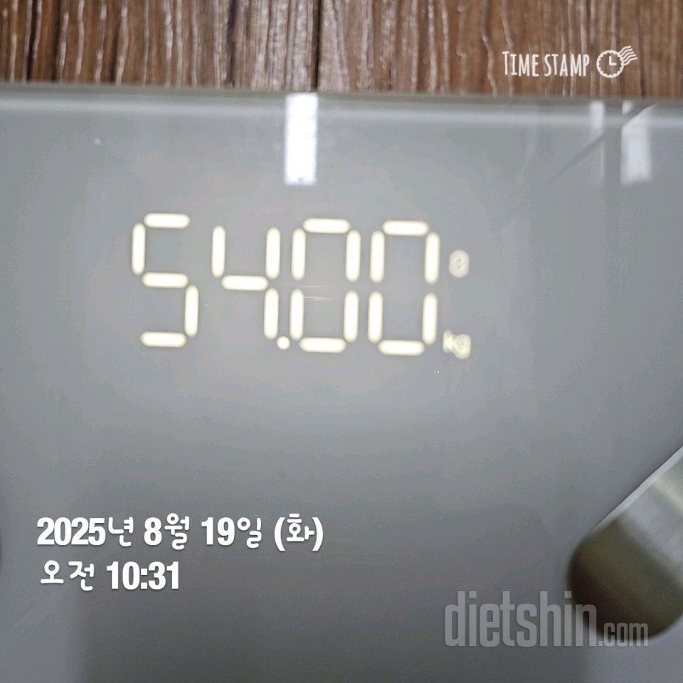 8/19일 식단