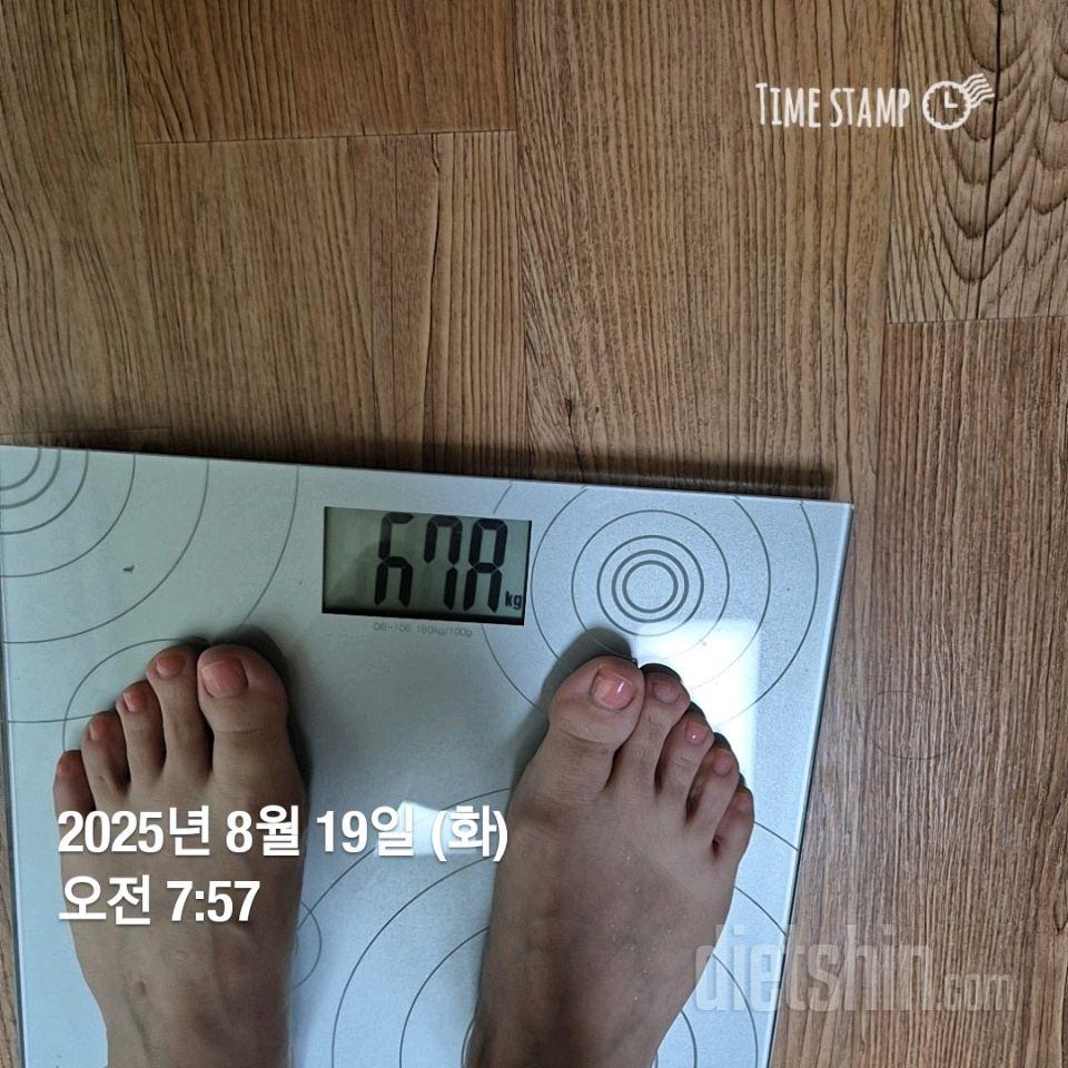 7일 아침 몸무게 재기491일차 성공!