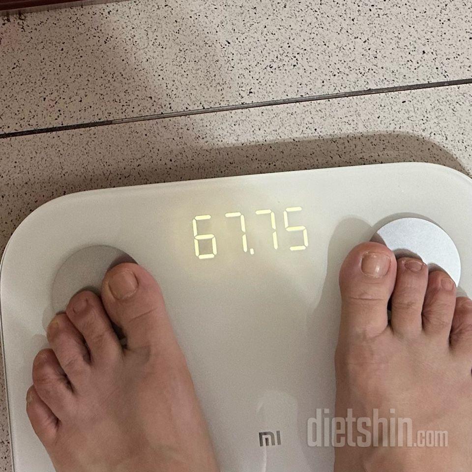 7일 아침 몸무게 재기3일차 성공!