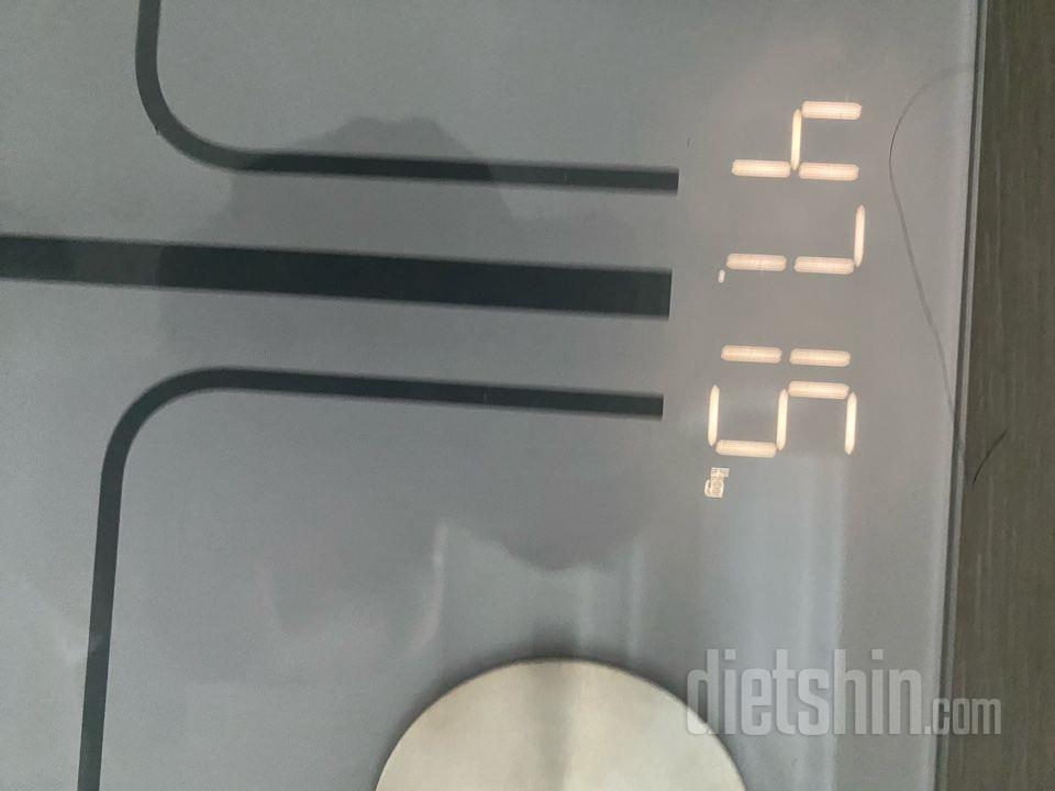 7일 아침 몸무게 재기101일차 성공!