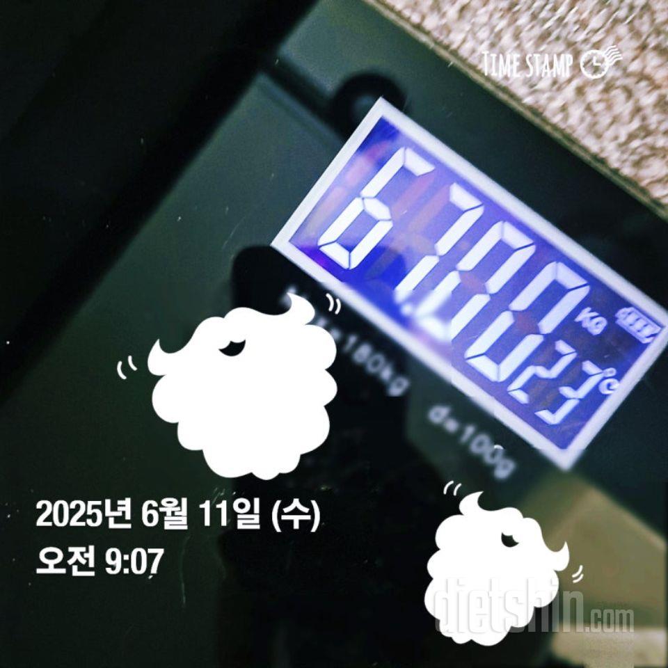 다신샵 제품은 제 다이어트에 진짜 도
