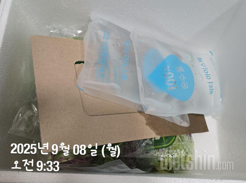 매주 일요일  주문후   월요일 오전