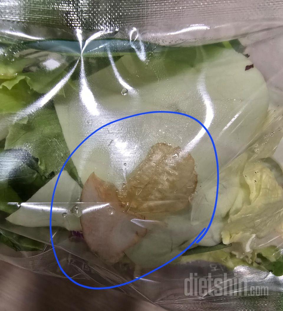 매주 일요일  주문후   월요일 오전