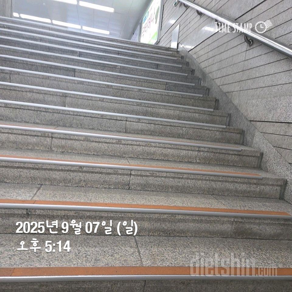 15일 계단 오르기4일차 성공!