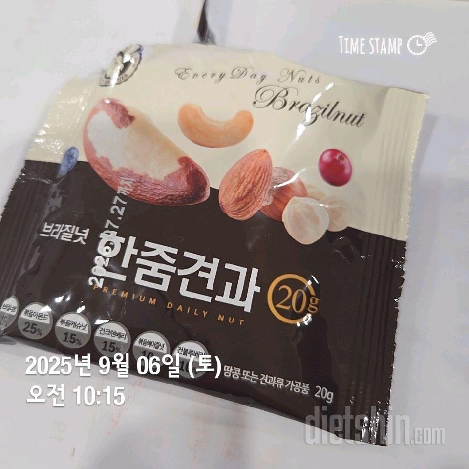 15~17일차