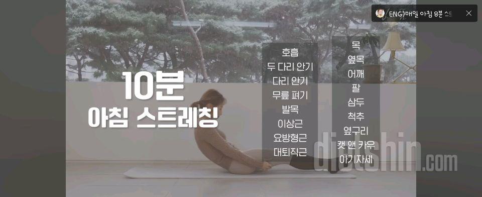 30일 아침 스트레칭2일차 성공!