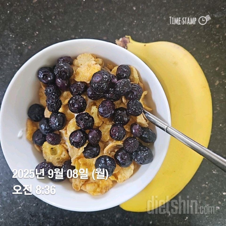 15일 3끼 식단 챌린지2일차 성공!
