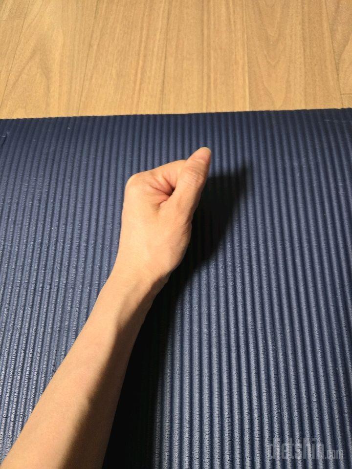 30일 플랭크4일차 성공!