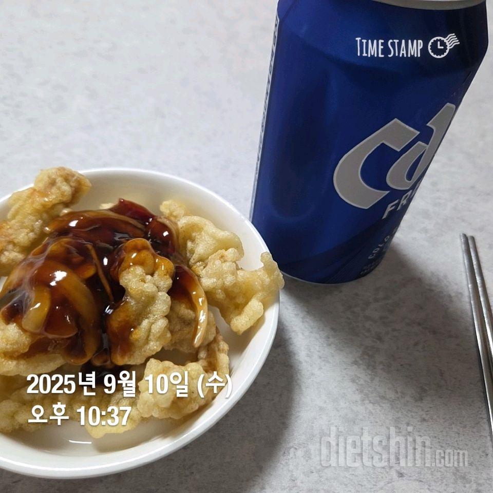 20일차