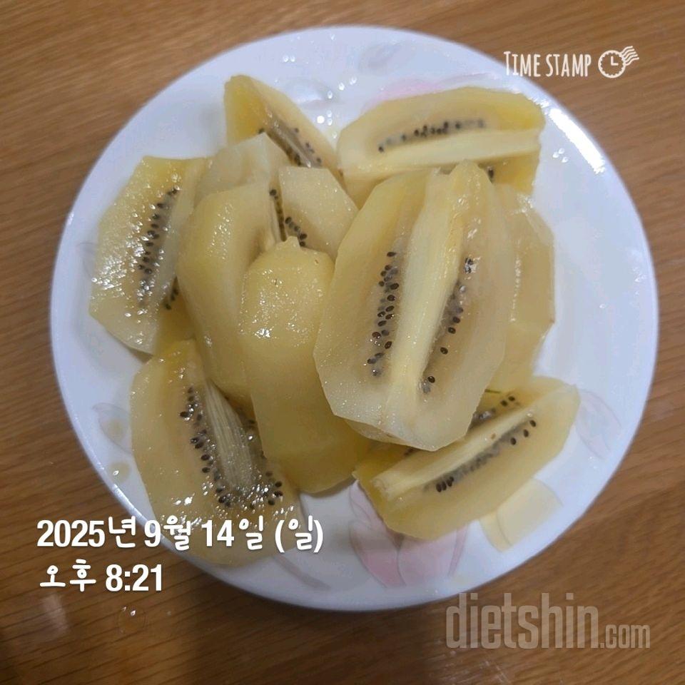 309일차