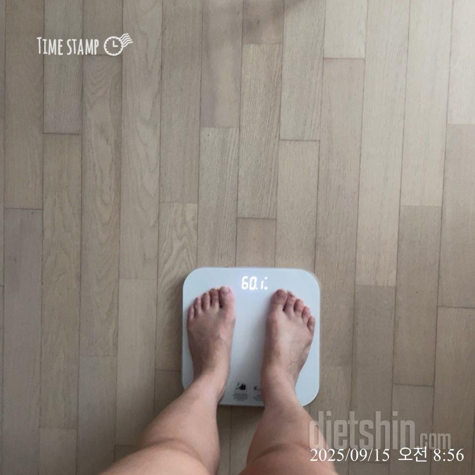7일 아침 몸무게 재기22일차 성공!