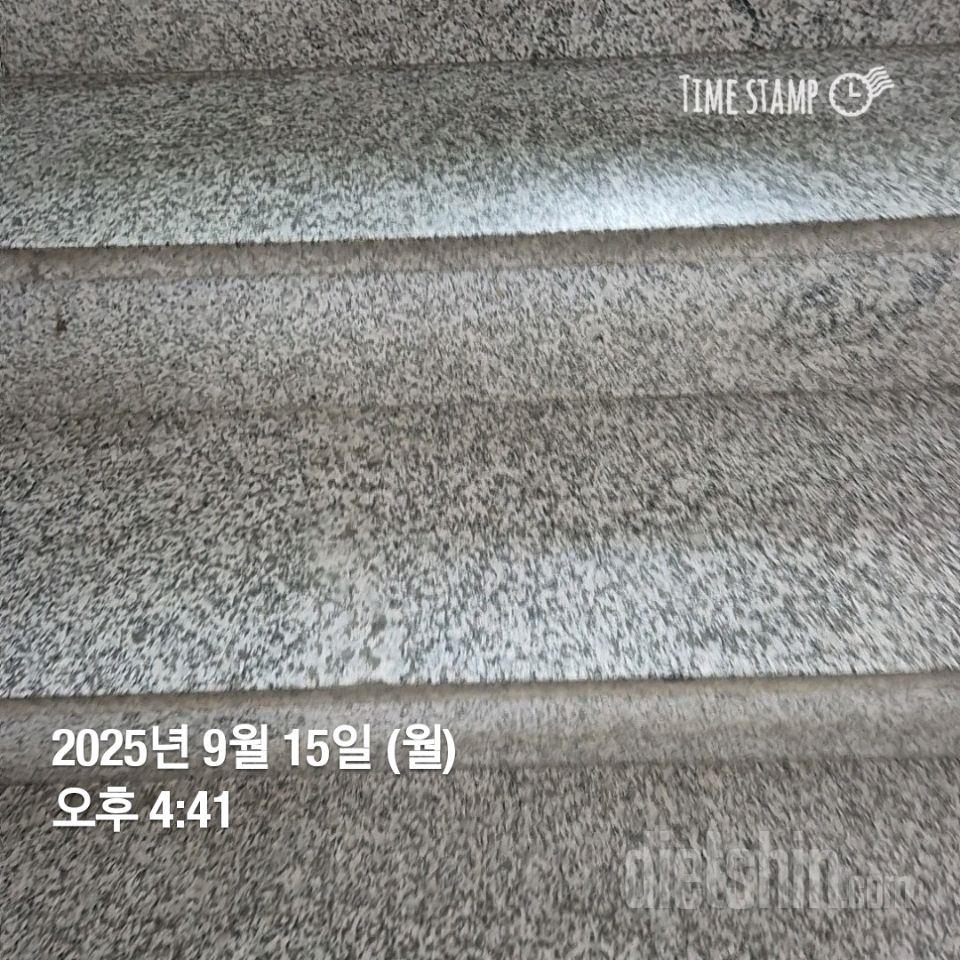 15일 계단 오르기248일차 성공!