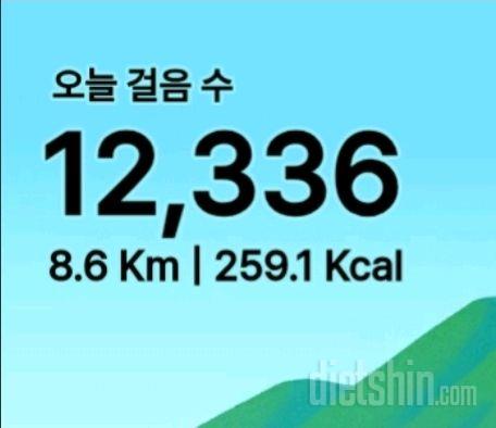 30일 만보 걷기17일차 성공!