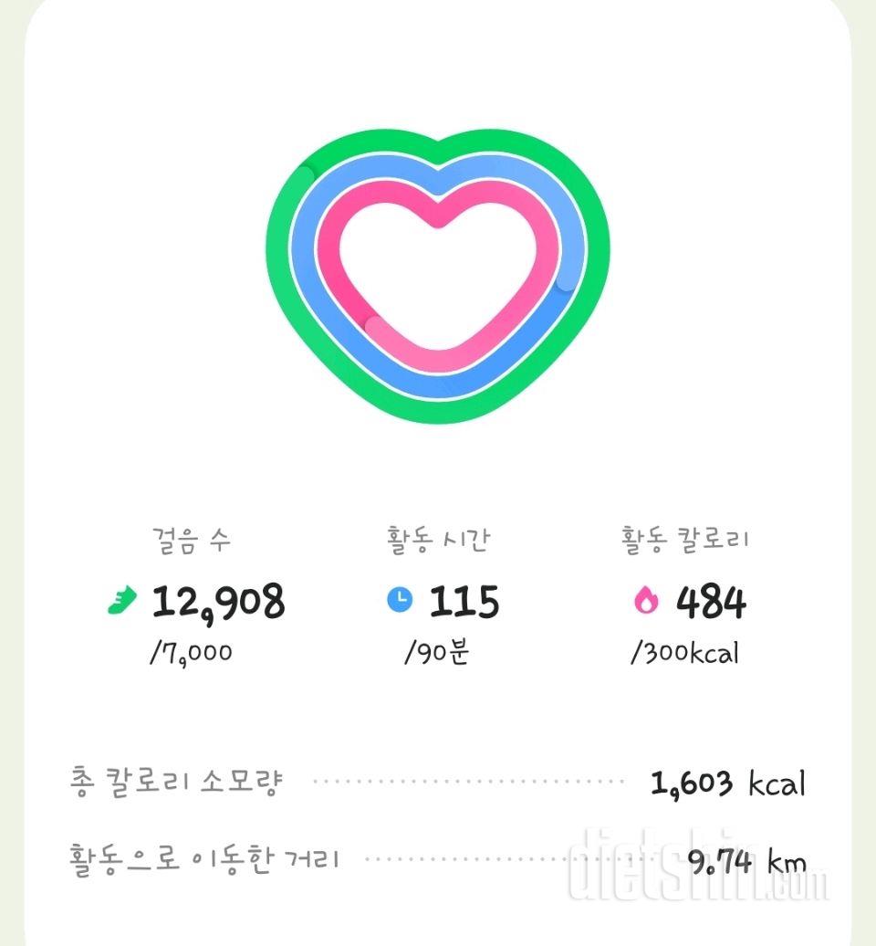 30일 만보 걷기33일차 성공!