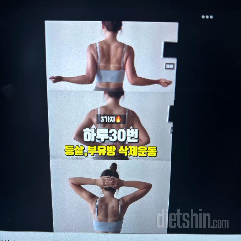 30일 슬림한 팔31일차 성공!