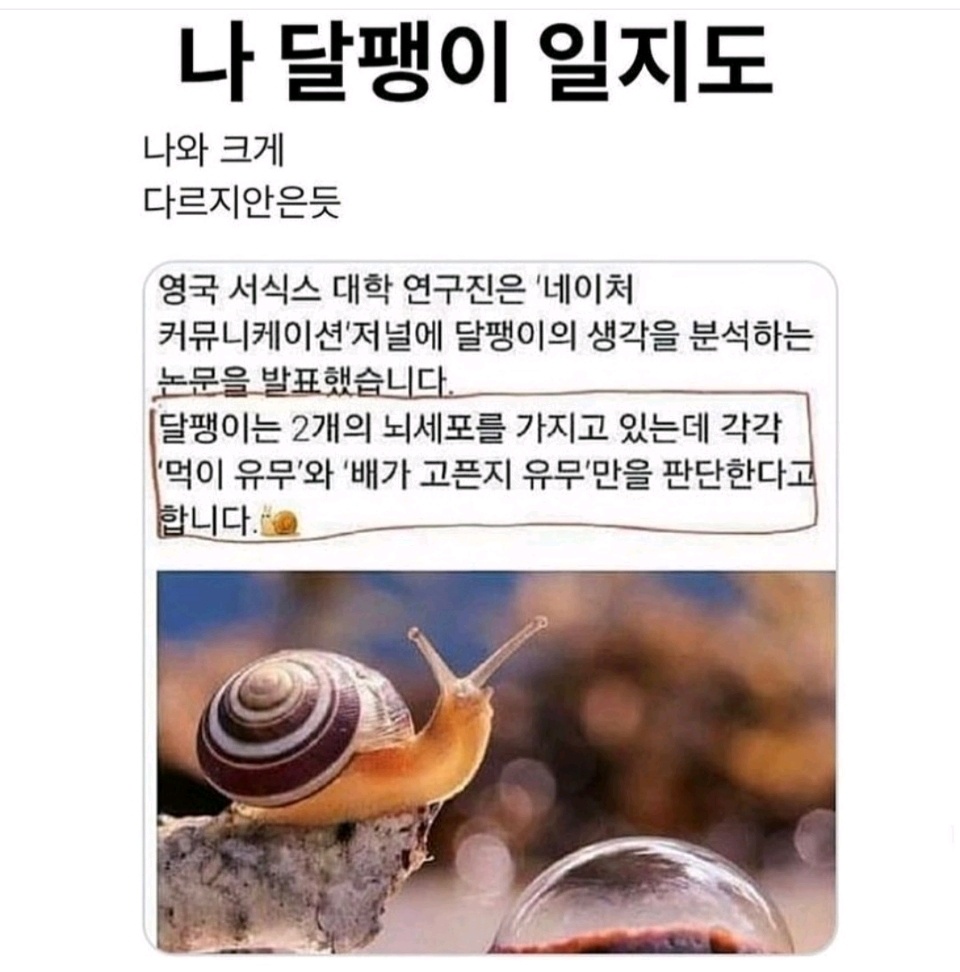 달팽일지도