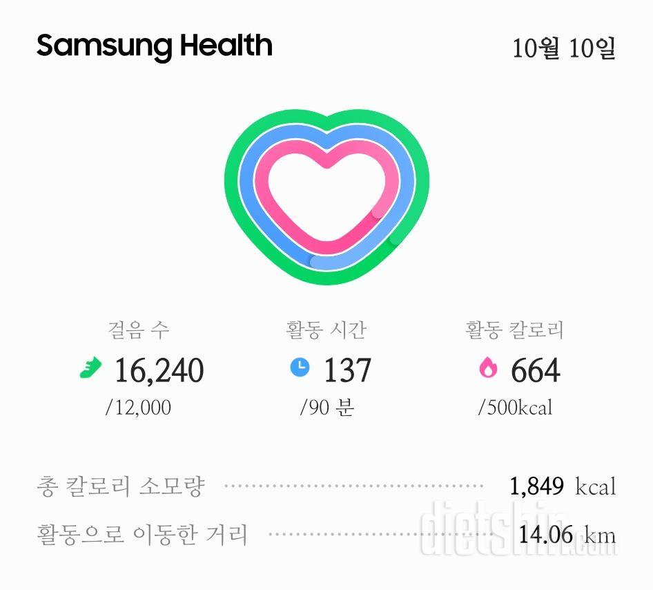 30일 만보 걷기 1일차 (10/10일)