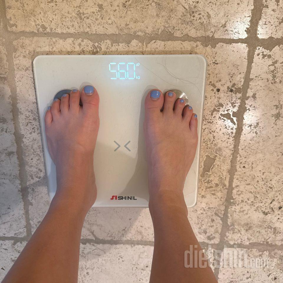 7일 아침 몸무게 재기1일차 성공!