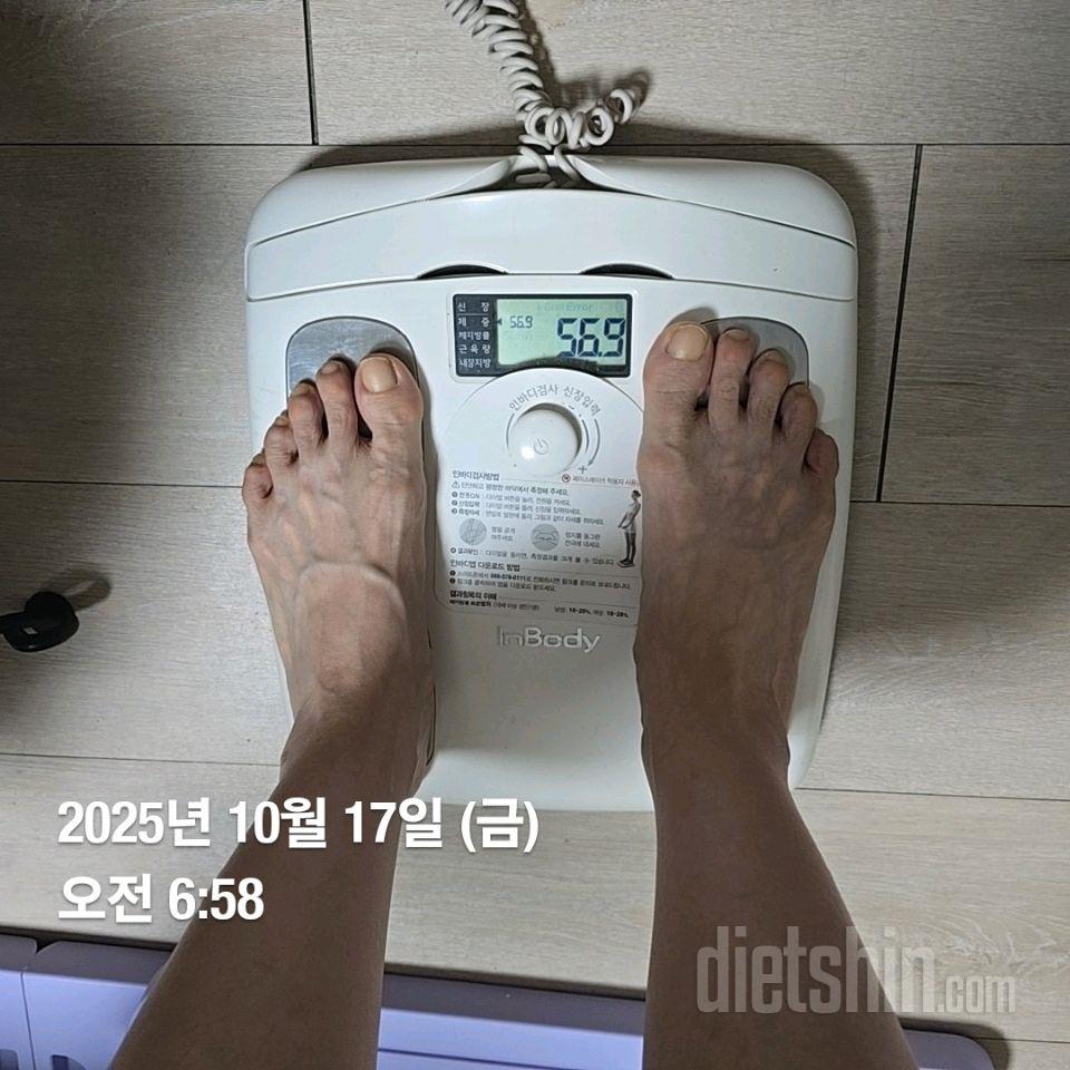 7일 아침 몸무게 재기78일차 성공!