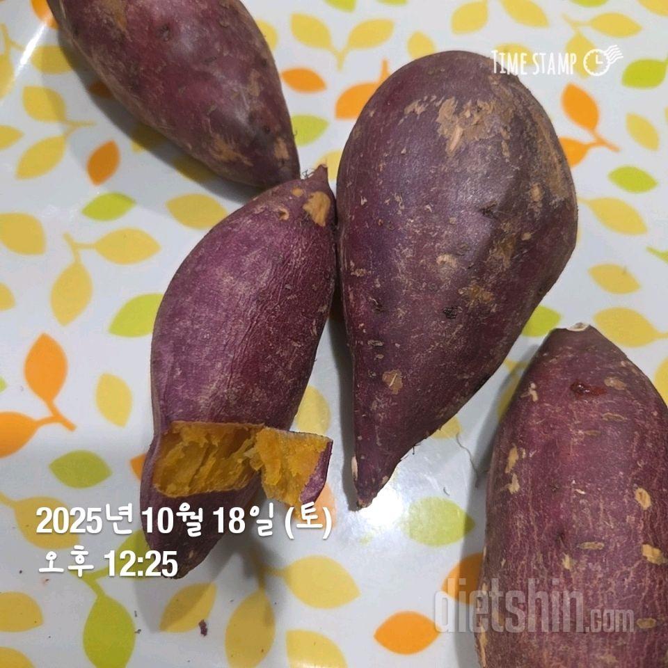 343일차