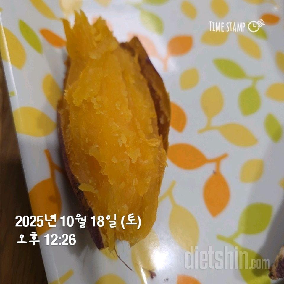 343일차