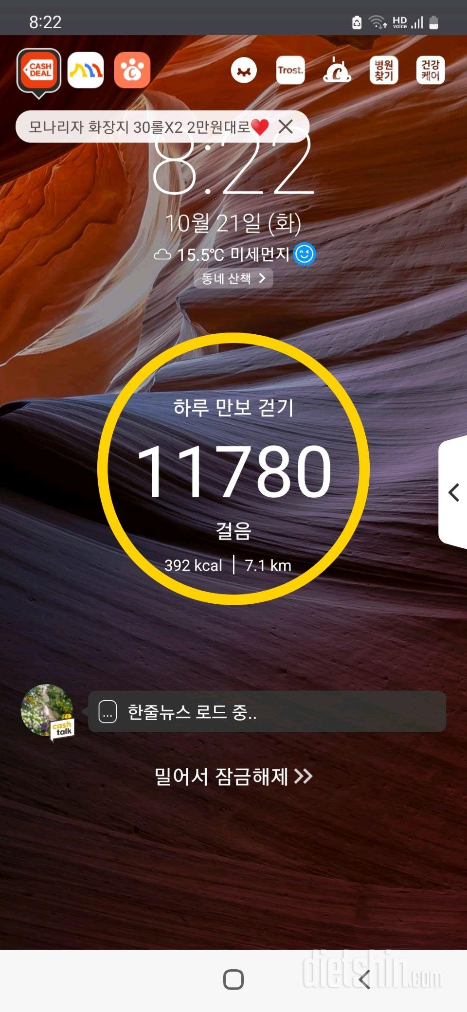 30일 만보 걷기141일차 성공!